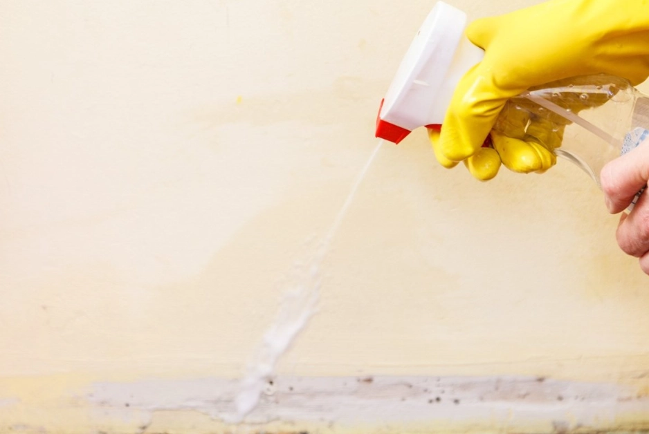 紅酵母菌浴室功效 紅酵母菌浴室功效