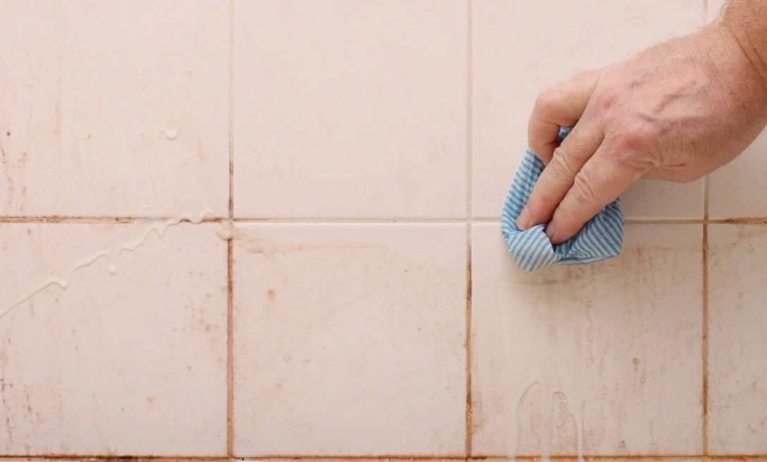 紅酵母菌浴室功效 紅酵母菌浴室功效