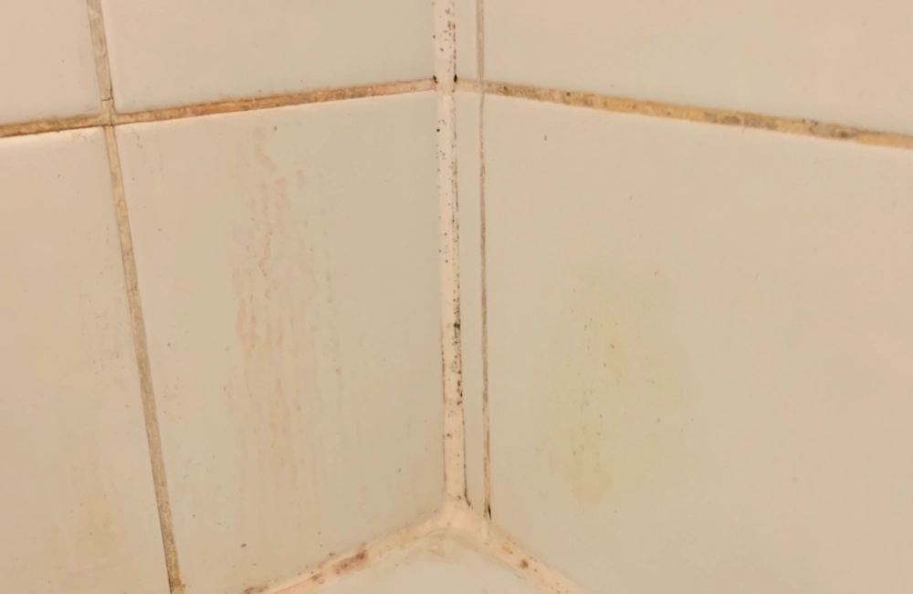 紅酵母菌浴室功效 紅酵母菌浴室功效