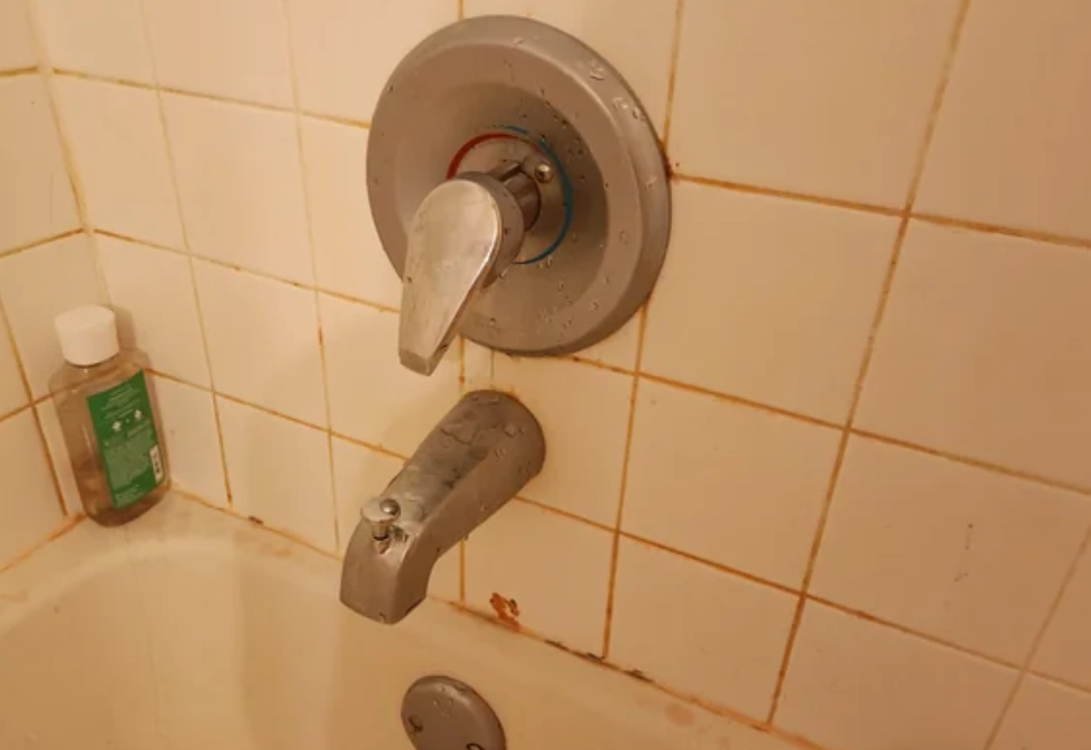 紅酵母菌體驗 紅酵母菌體驗