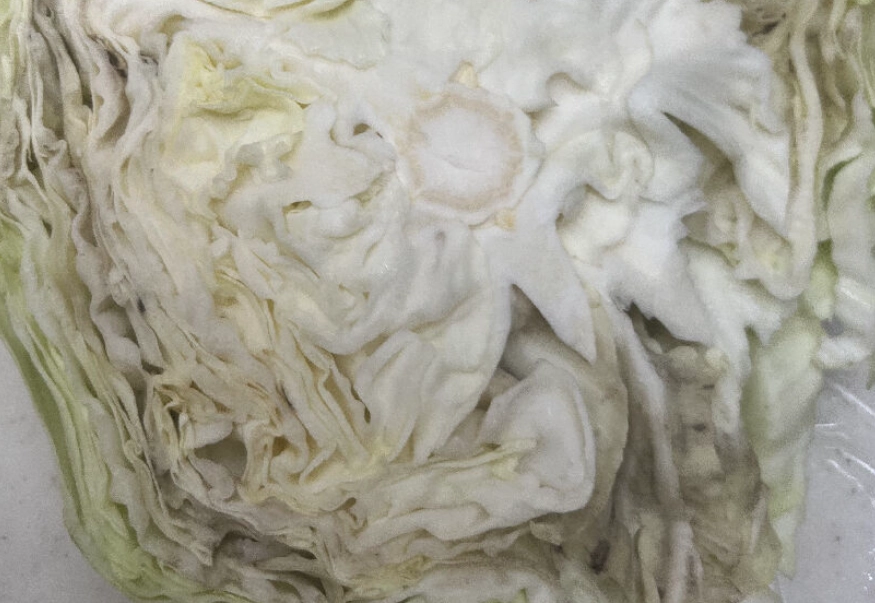高麗菜壞掉 高麗菜壞掉