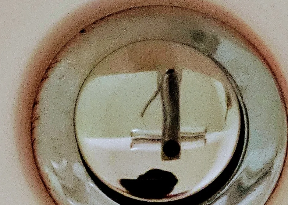 紅酵母菌發酵浴 紅酵母菌發酵浴