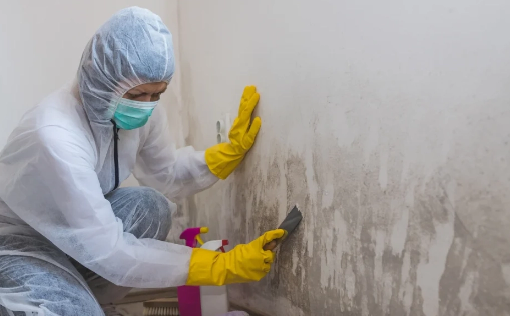 牆壁發霉處理