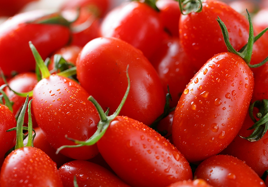 玉女小番茄 玉女小番茄