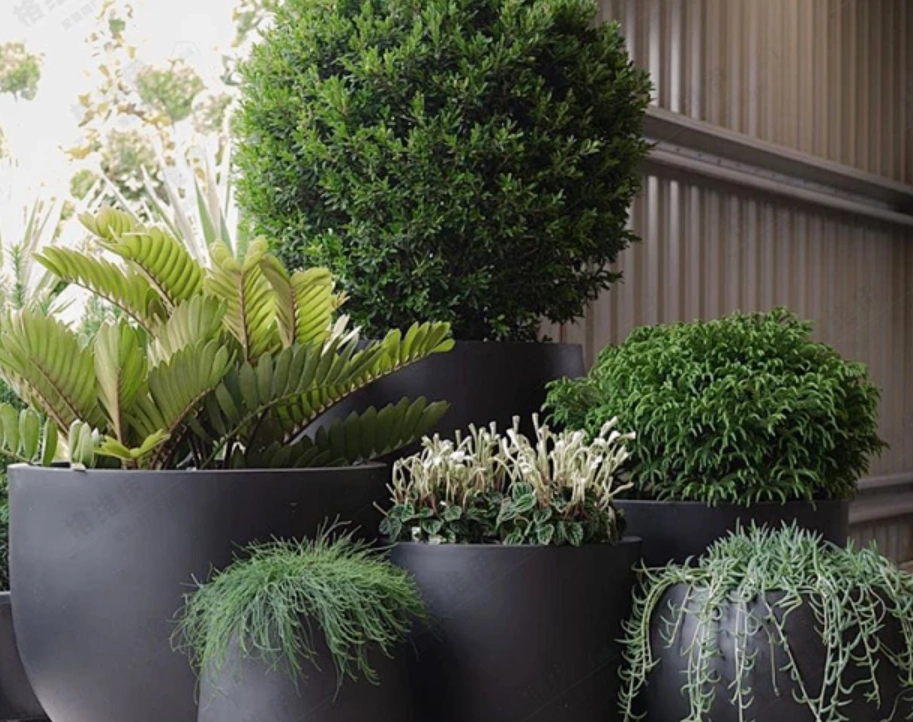大型盆栽容器