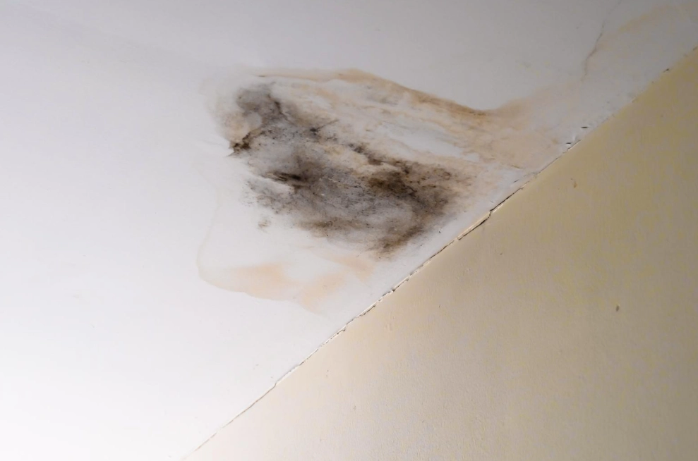 天花板發霉 酒精 天花板發霉 酒精