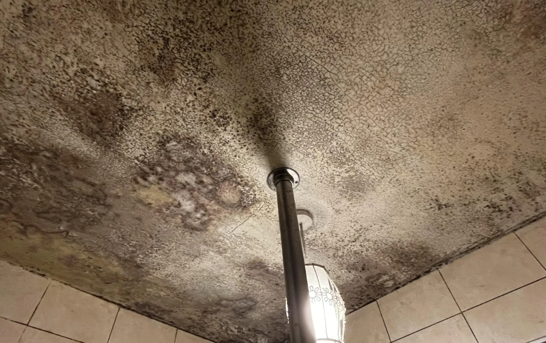 天花板發霉 酒精 天花板發霉 酒精