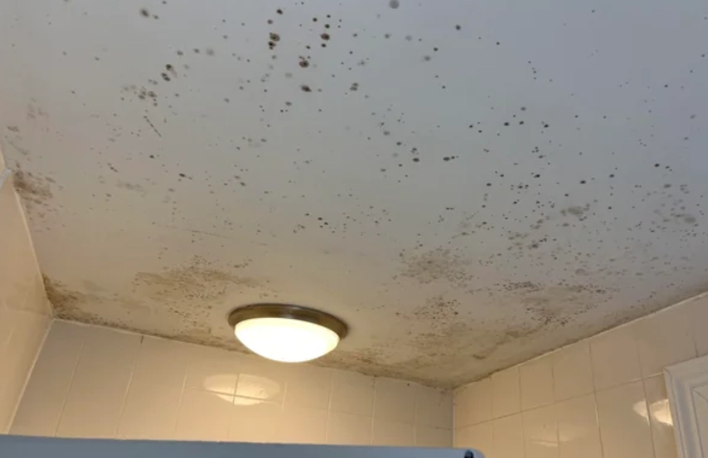 浴室除霉方法 浴室除霉方法