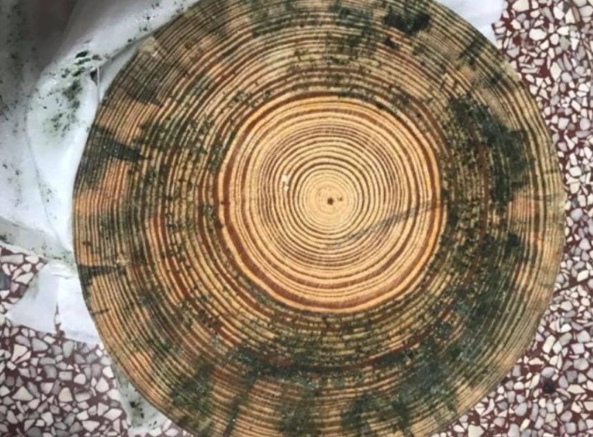 木材發霉處理 木材發霉處理