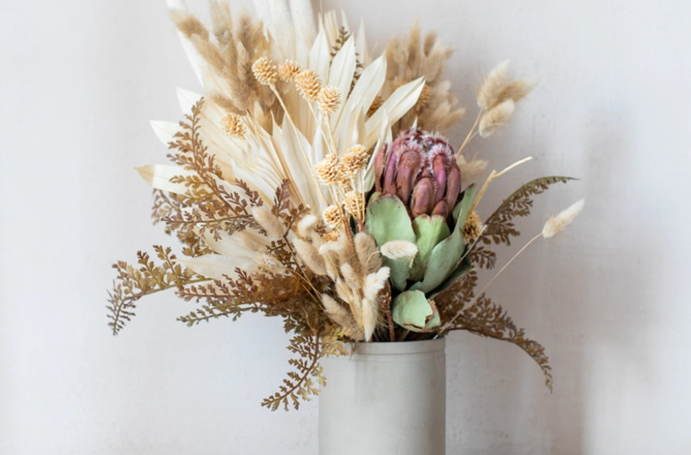 永生花 空間 應用