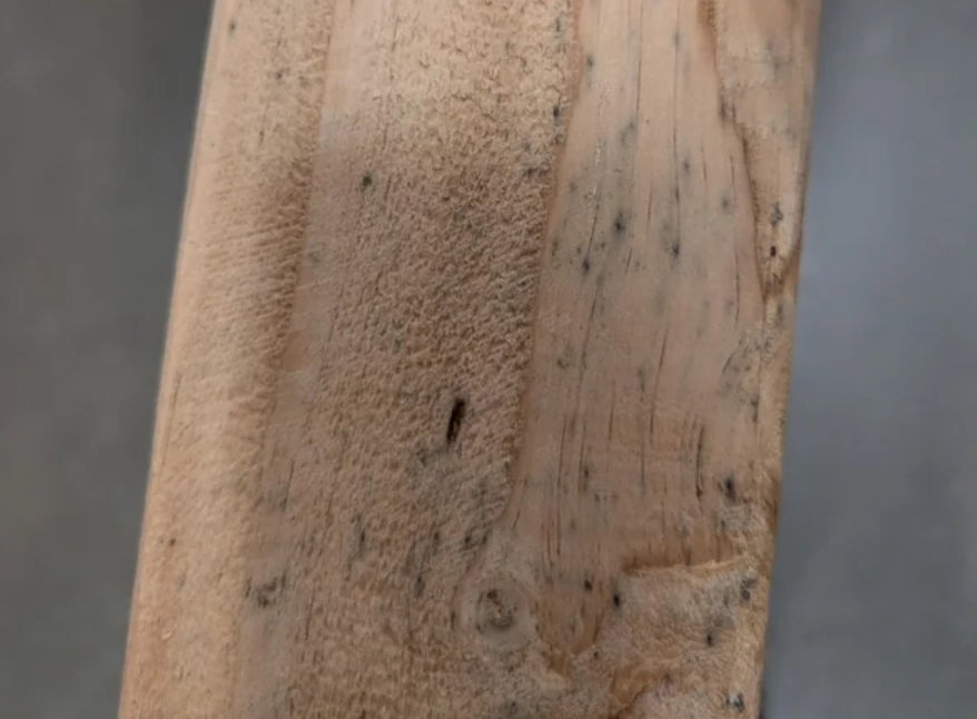 漂白水除霉方法 漂白水除霉方法