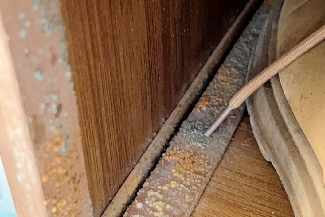 竹家具發霉處理