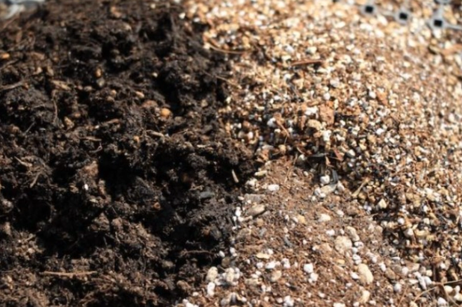 土壤白色顆粒原因