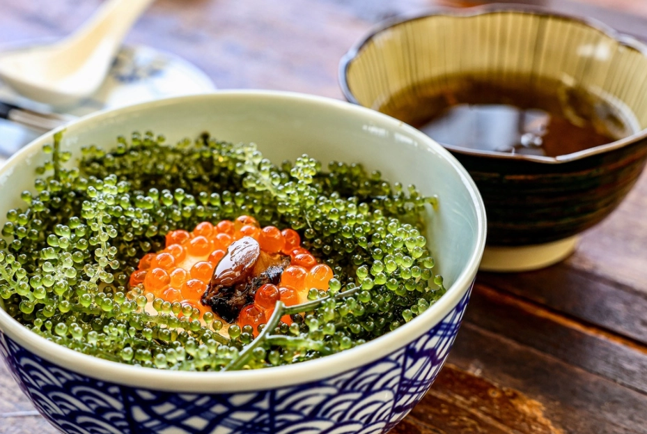 海葡萄料理 海葡萄料理