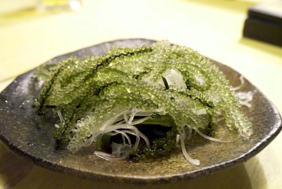 海葡萄做法 海葡萄做法