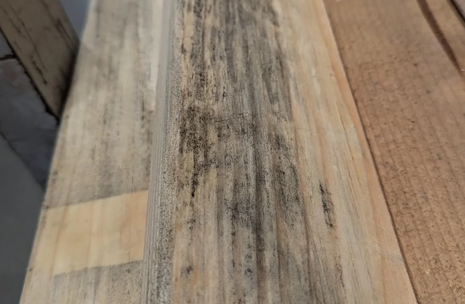 木材發霉處理 木材發霉處理