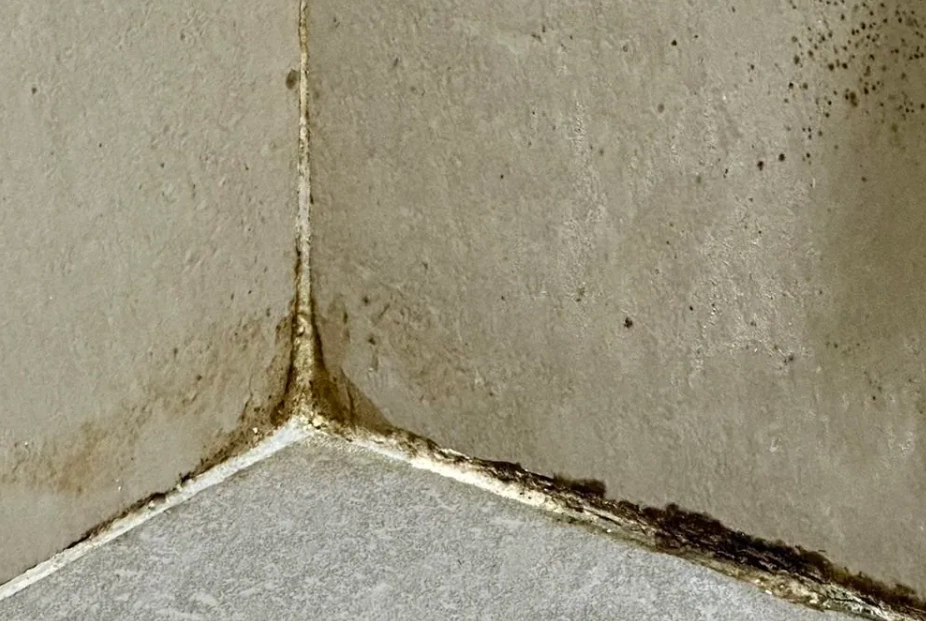 浴室磁磚黃垢清除