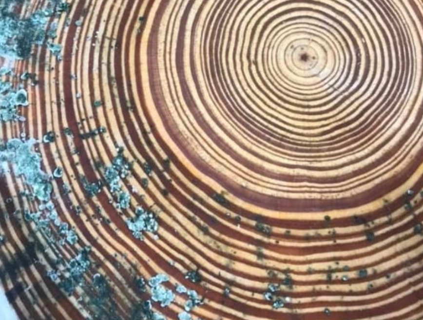 漂白水除霉方法 漂白水除霉方法