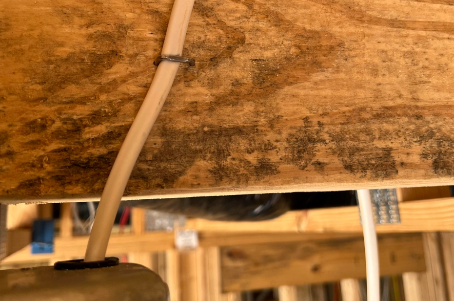 漂白水除霉方法 漂白水除霉方法