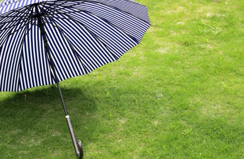 夢見傘 使用心得