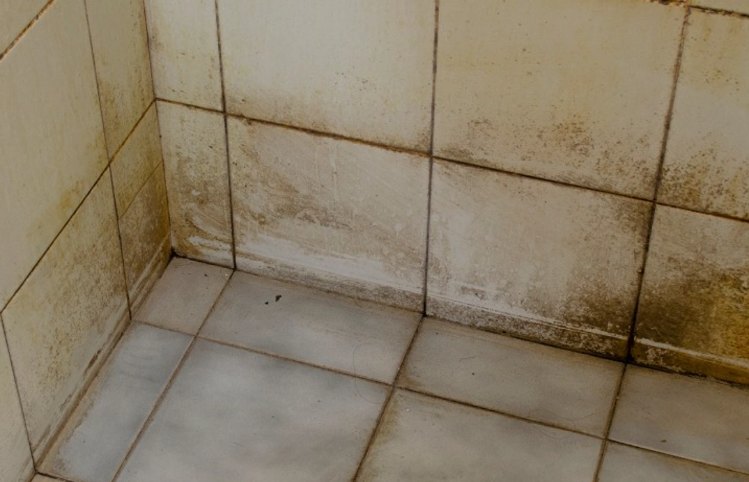 小蘇打粉 浴室 清潔