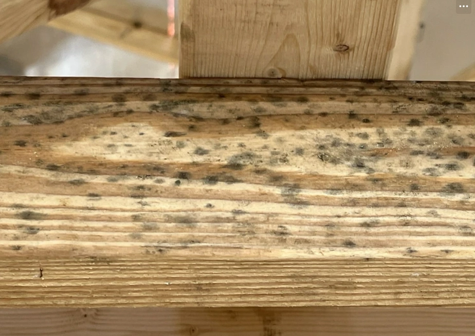 漂白水除霉方法 漂白水除霉方法