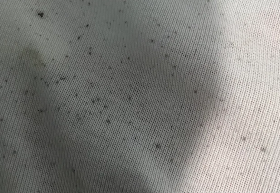 漂白水清洗內褲 漂白水清洗內褲