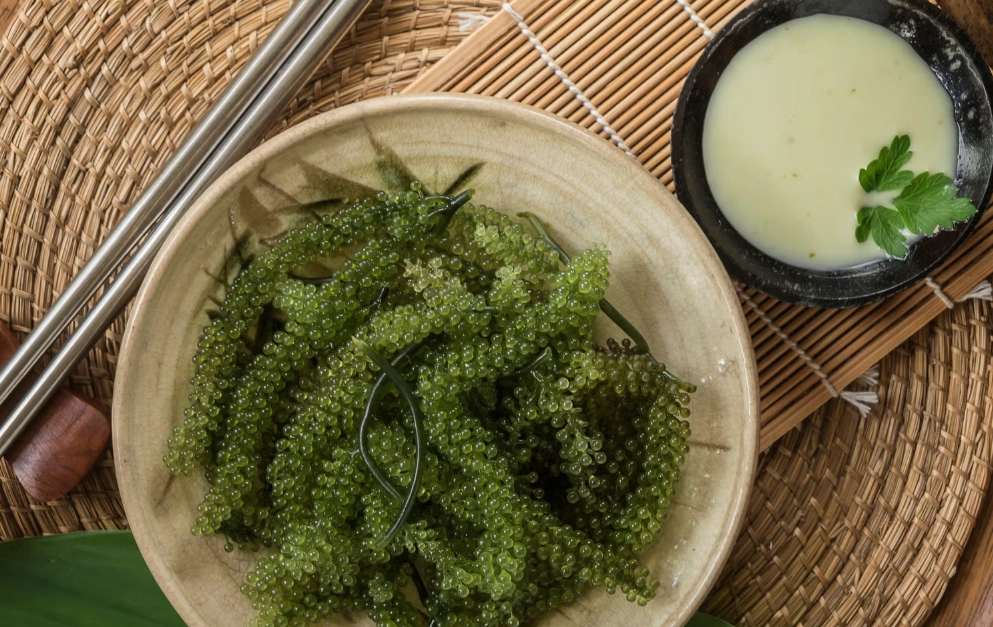 海葡萄餐廳推薦