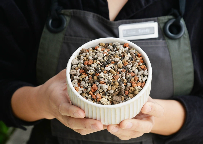 多肉植物配土