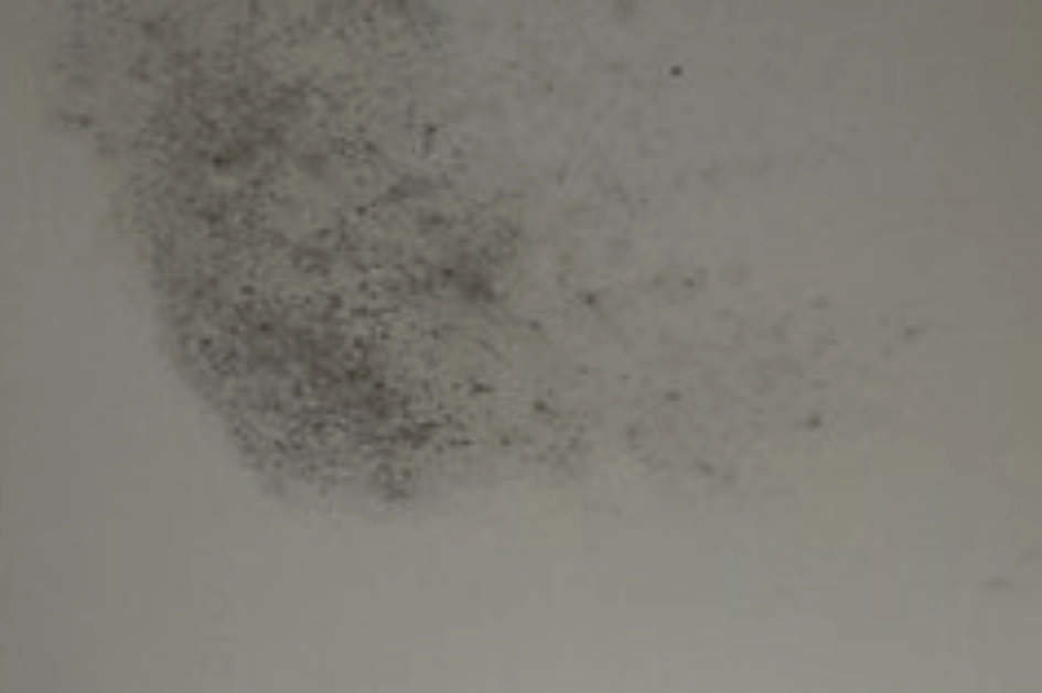 天花板發霉原因