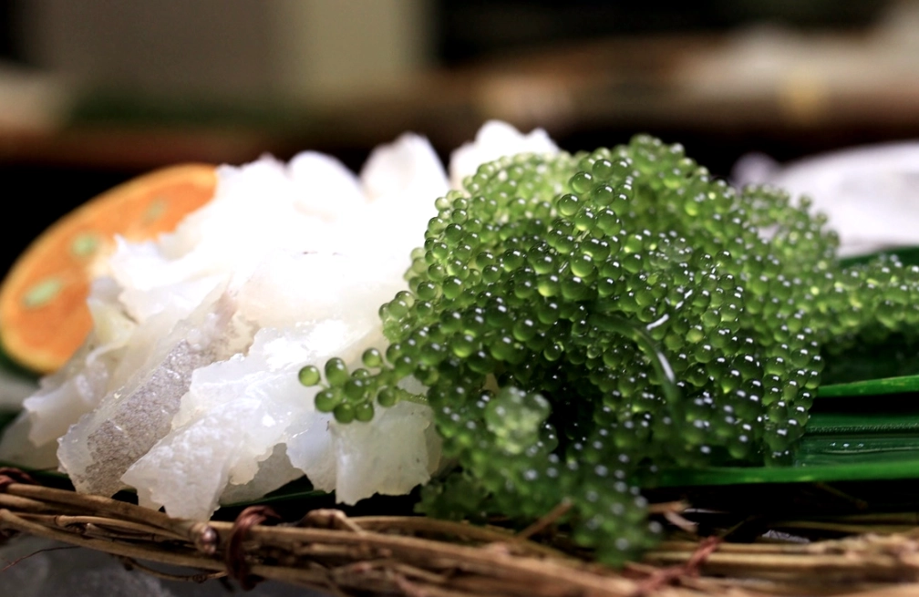 海葡萄餐廳推薦