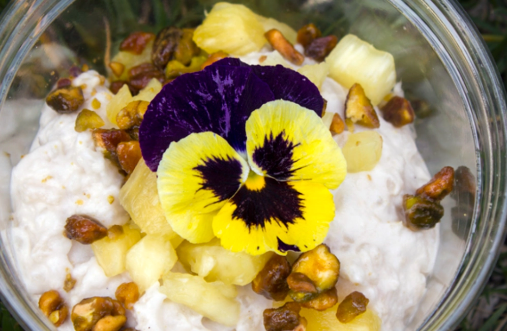 可食花卉 可食花卉