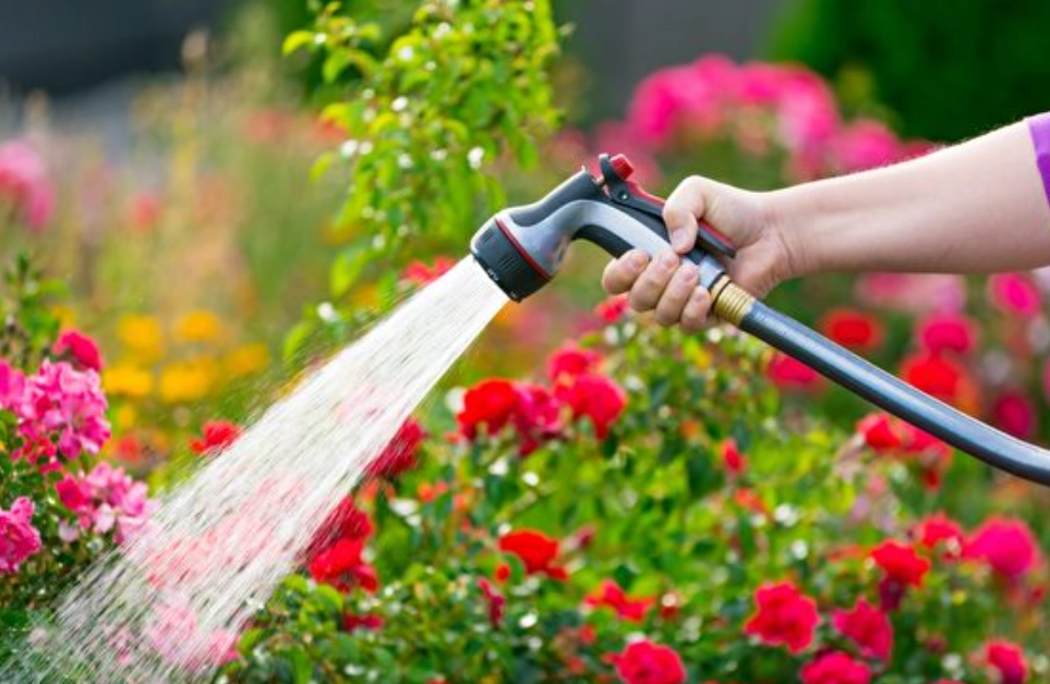 澆花自來水處理 澆花自來水處理