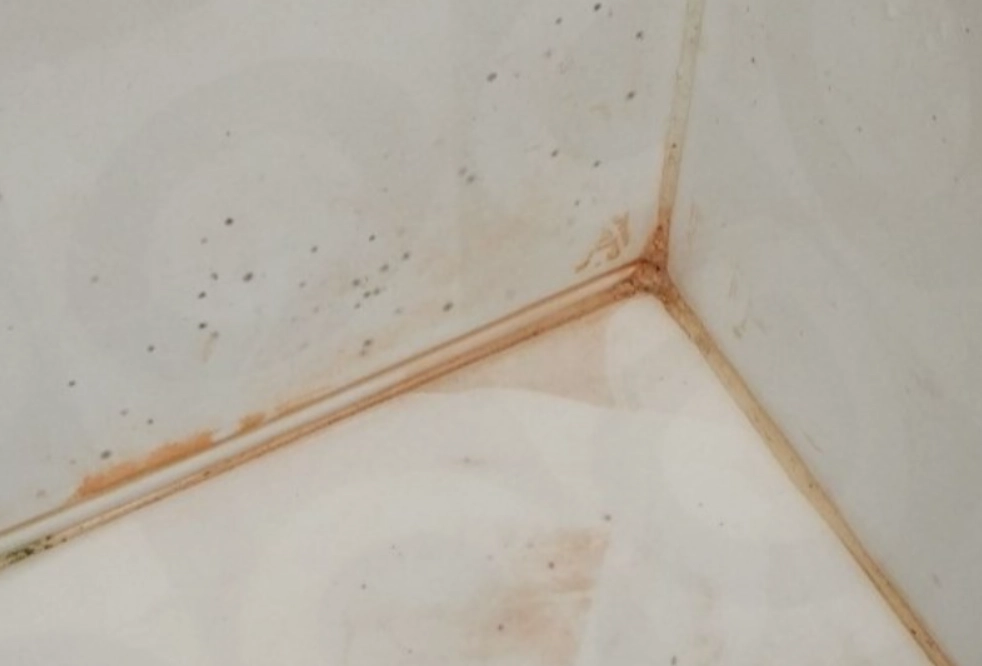 浴室磁磚清潔 浴室磁磚清潔