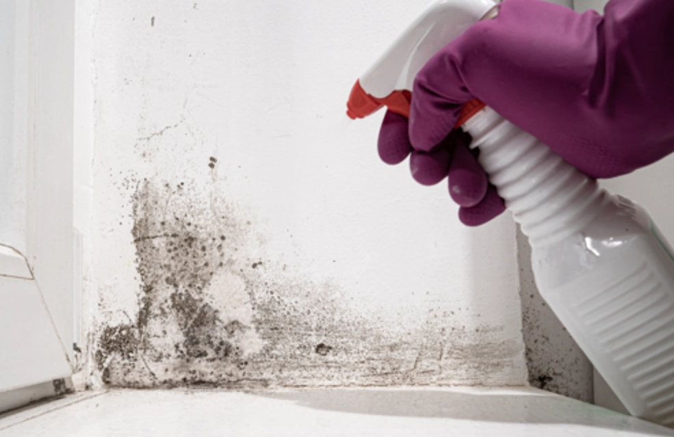 霉斑清潔方法 霉斑清潔方法