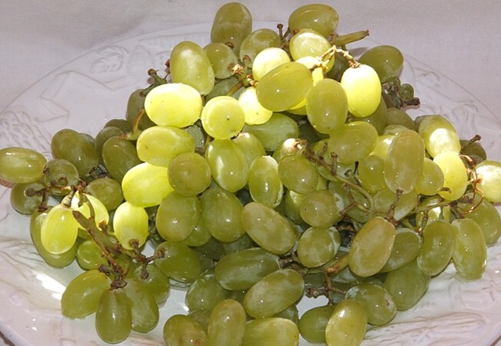 葡萄籽可以吃嗎