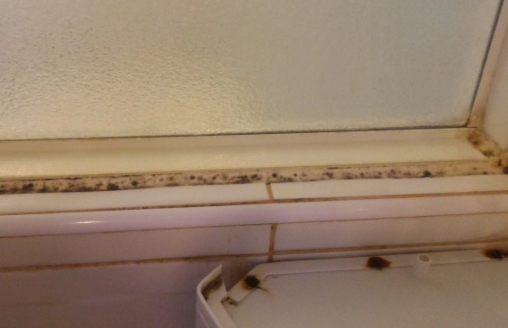 矽利康發霉清除