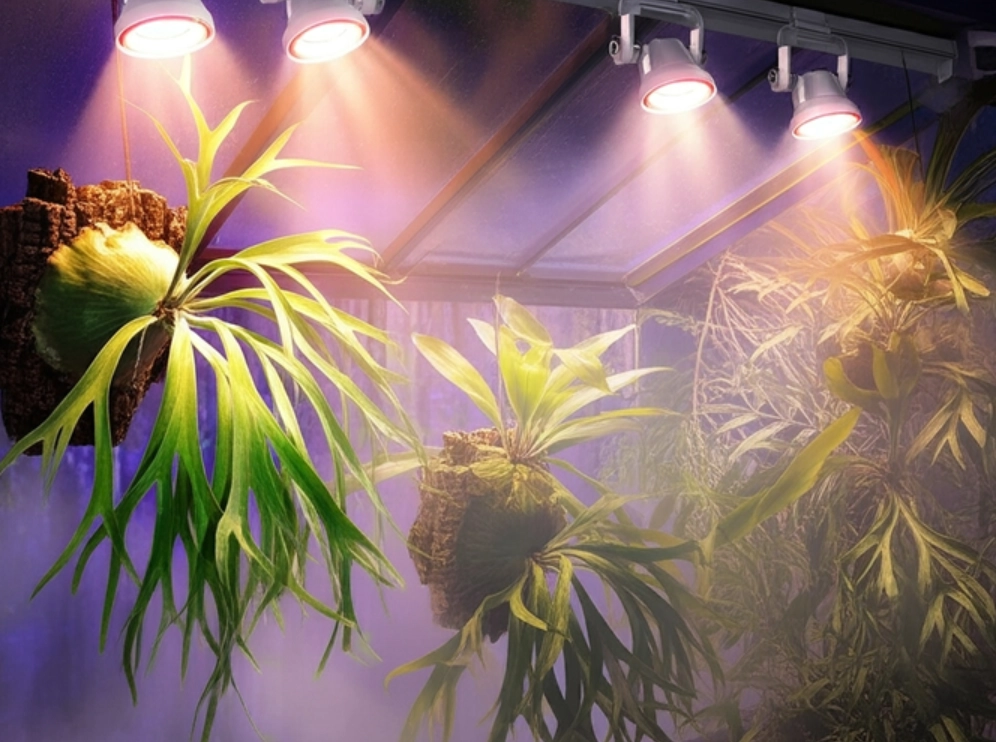 植物補光燈通風