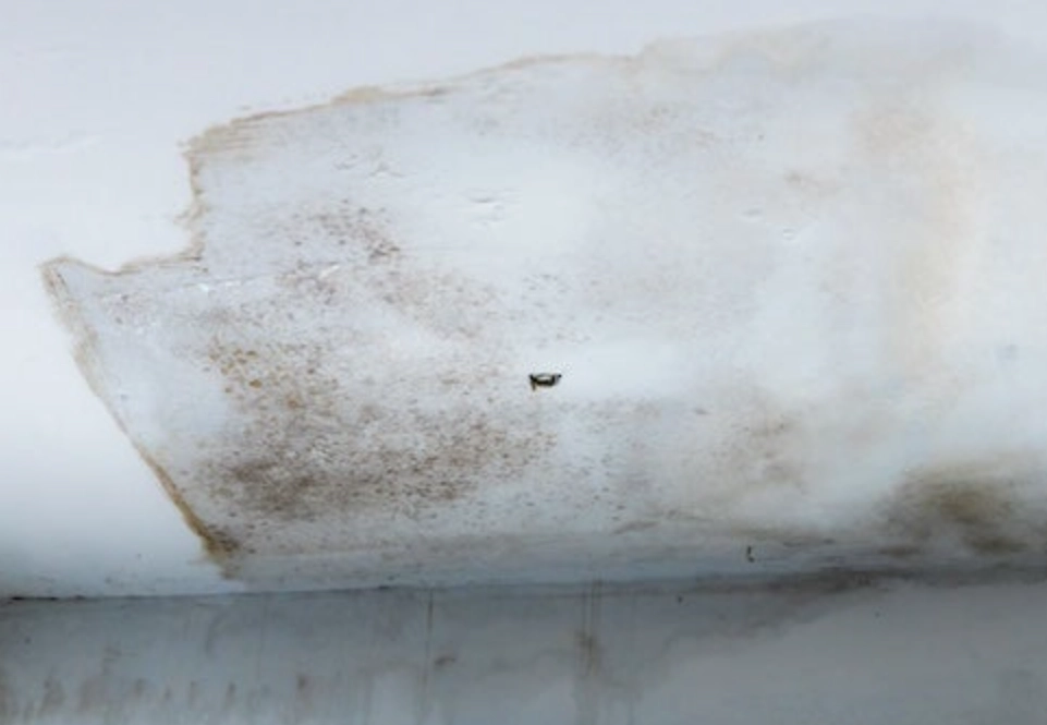 房間除黴 房間除黴