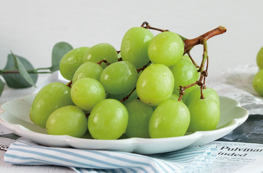 葡萄籽可以吃嗎