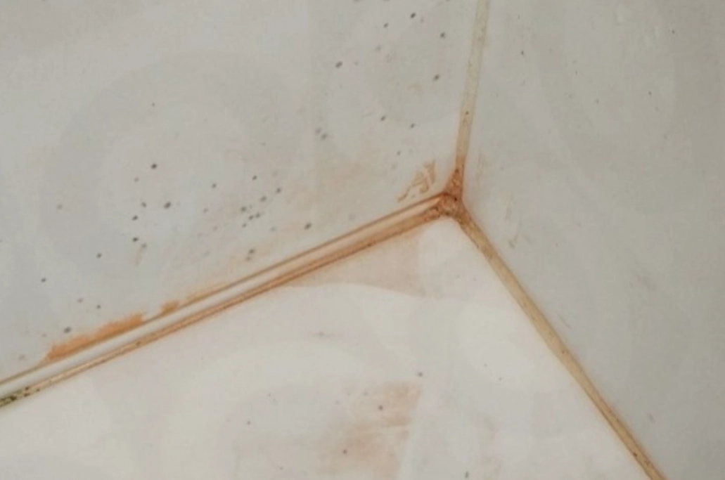 浴室黴菌健康影響