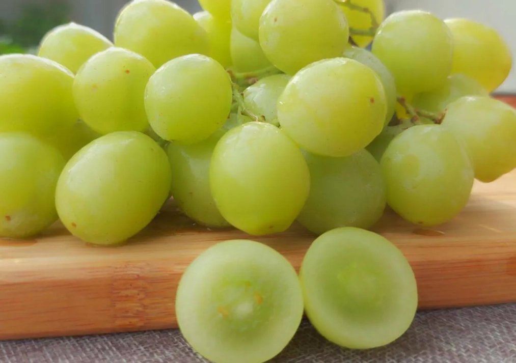 無籽葡萄品種