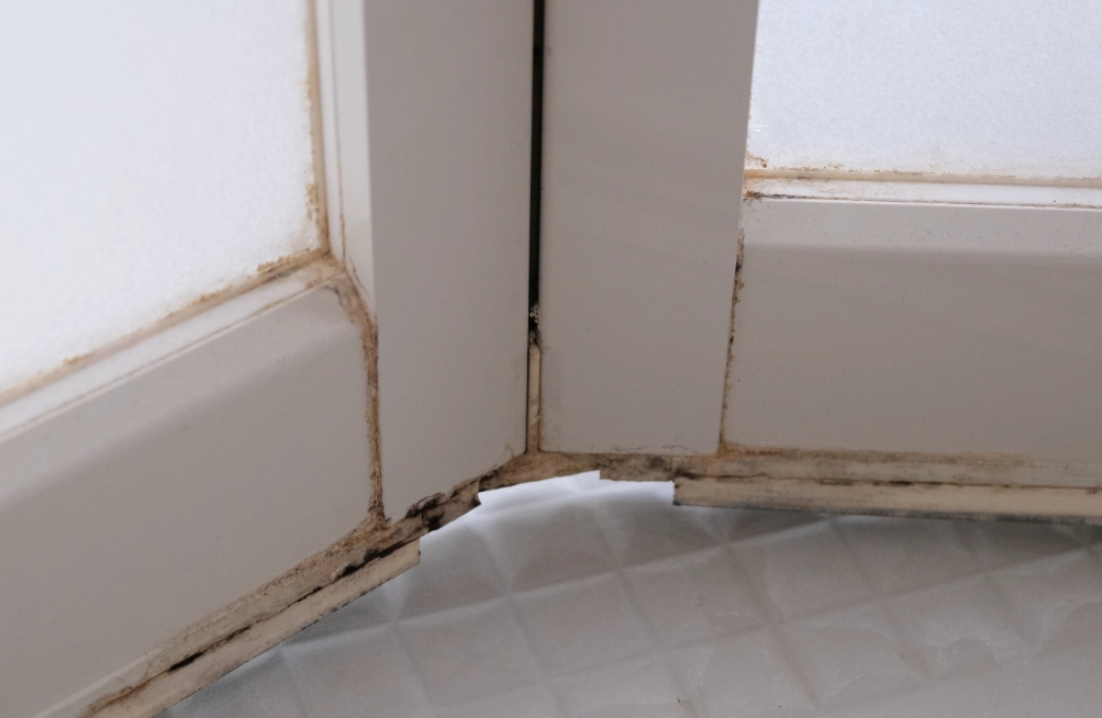 矽利康發霉清除