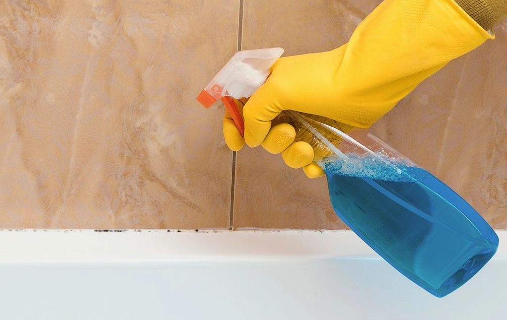 霉斑清潔方法 霉斑清潔方法