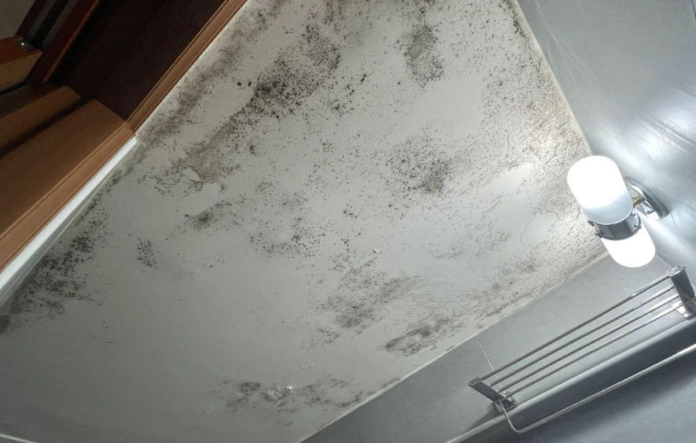 房間除黴 房間除黴