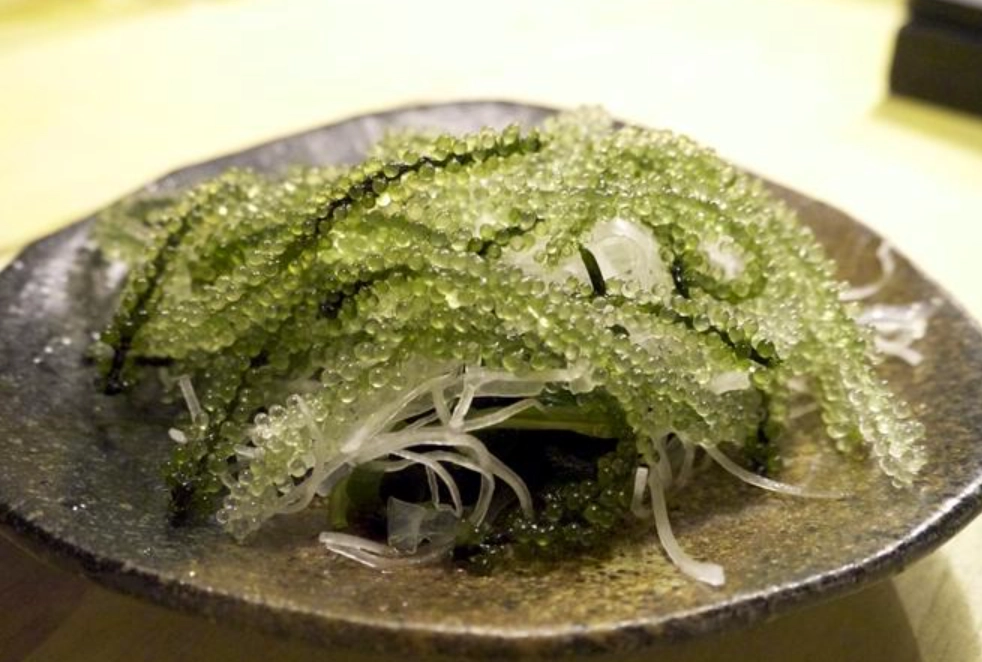 海葡萄怎麼吃 海葡萄怎麼吃