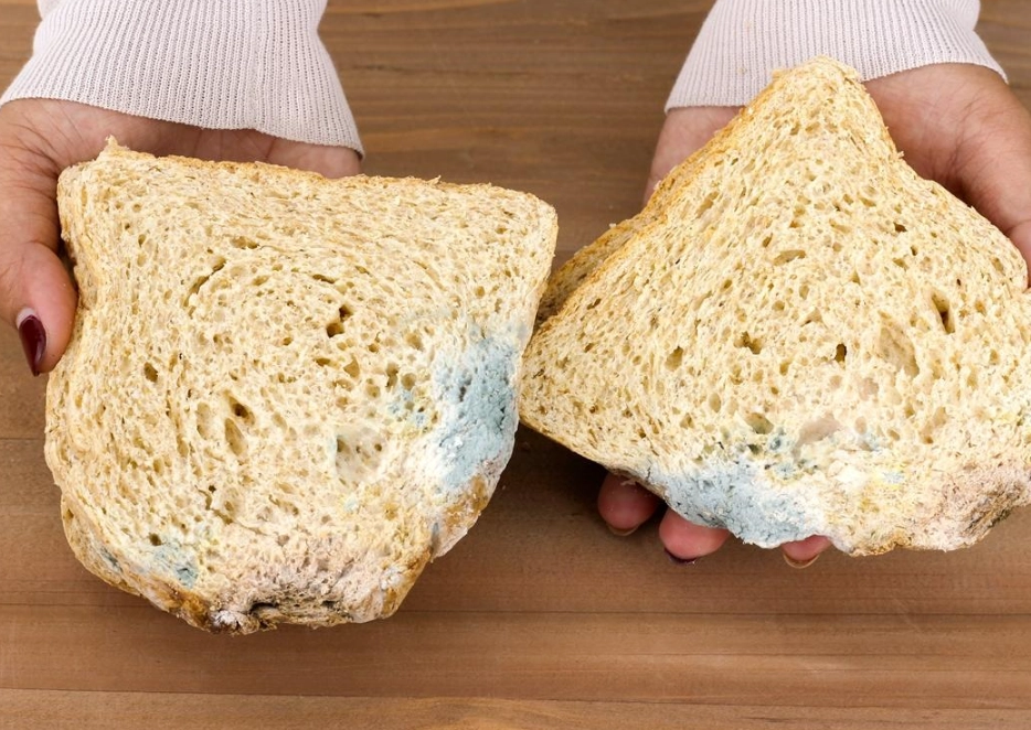 發霉食物能吃嗎