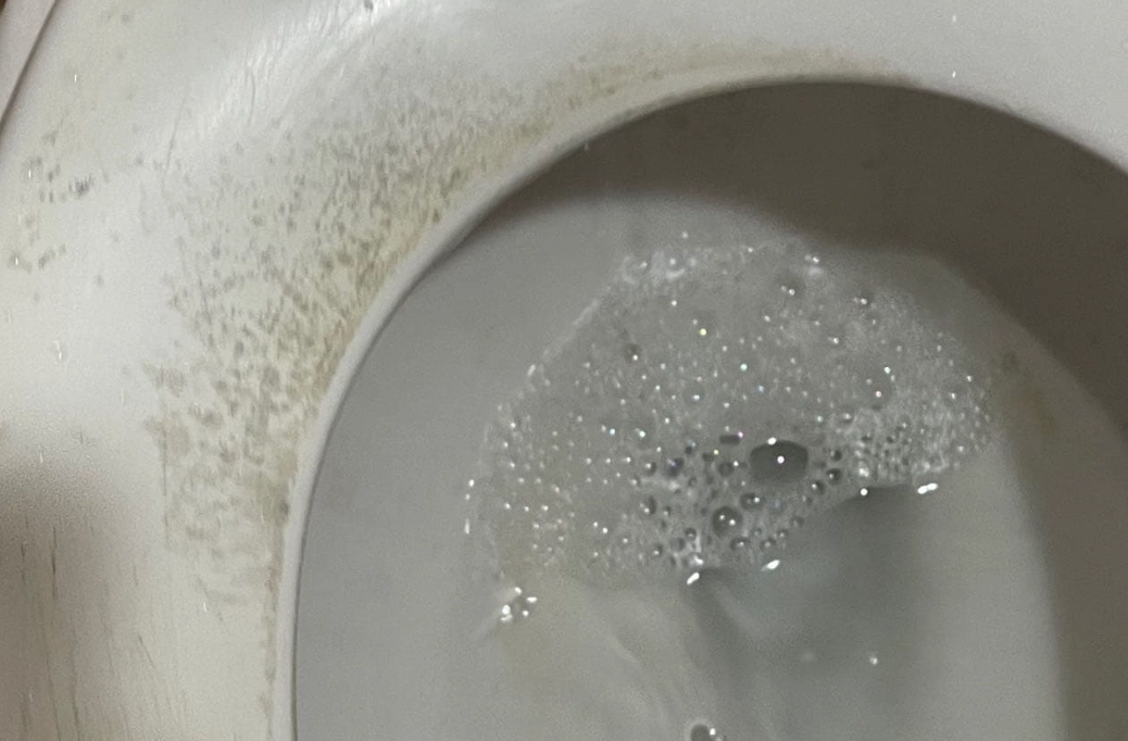 馬桶底座發霉 馬桶底座發霉