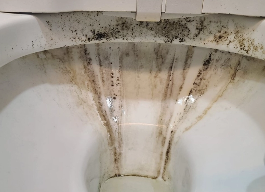 浴室發霉處理 浴室發霉處理