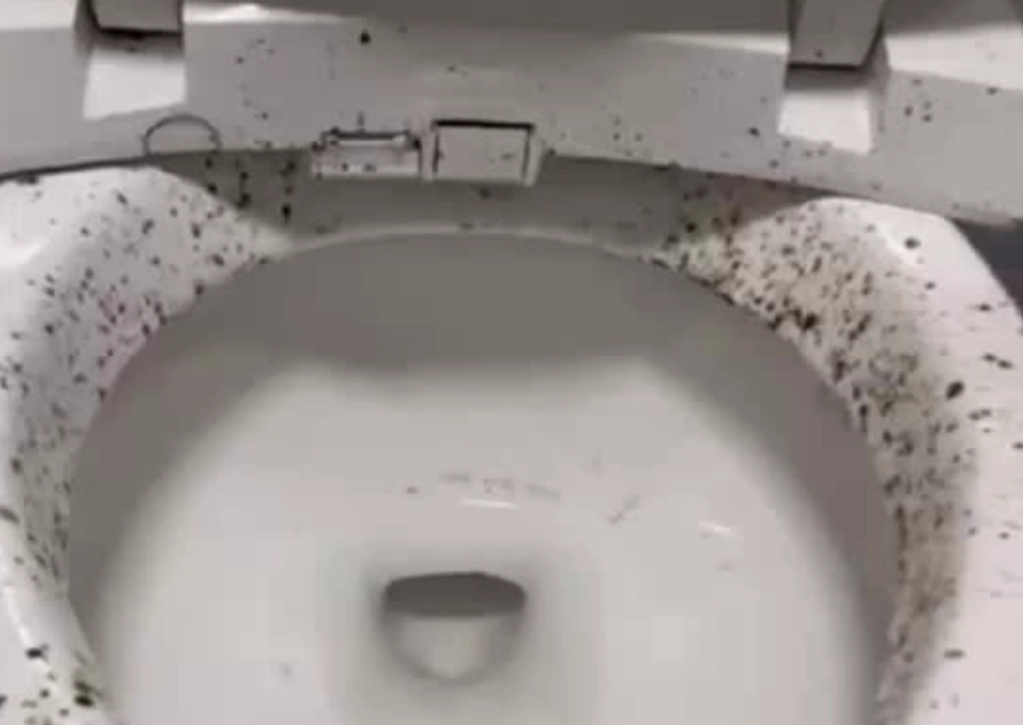 浴室發霉處理 浴室發霉處理